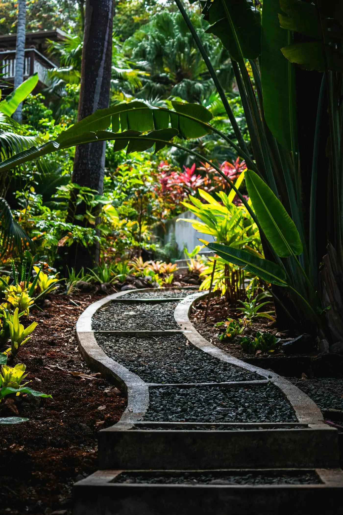 Layered green plants and trees in a shaded garden
