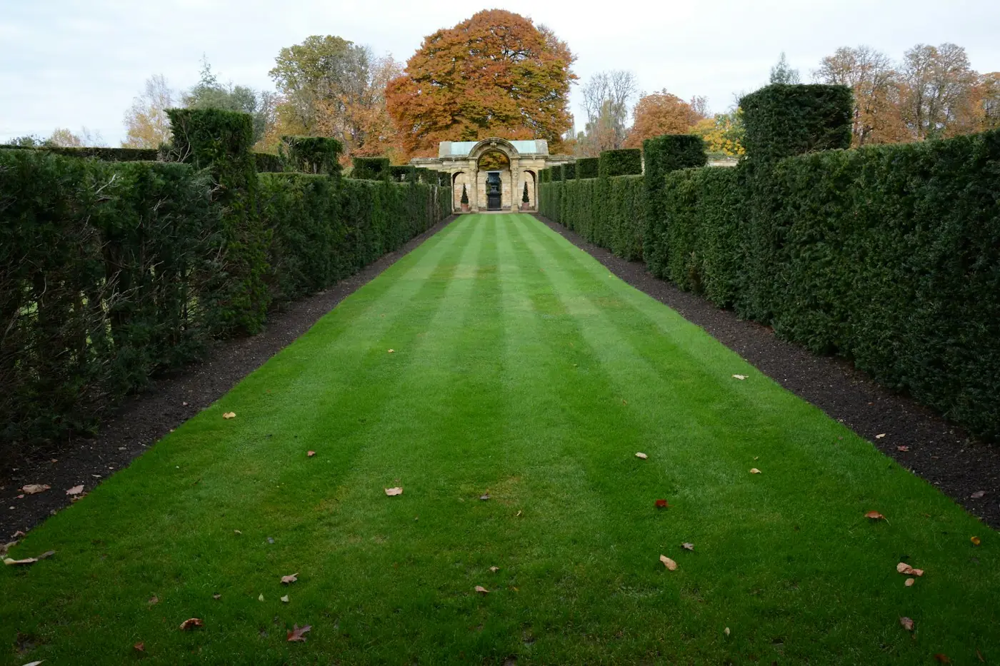 Long striped lawn framed by tall hedges